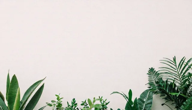 商机撮合服务如何帮助本地企业获取行业资讯?