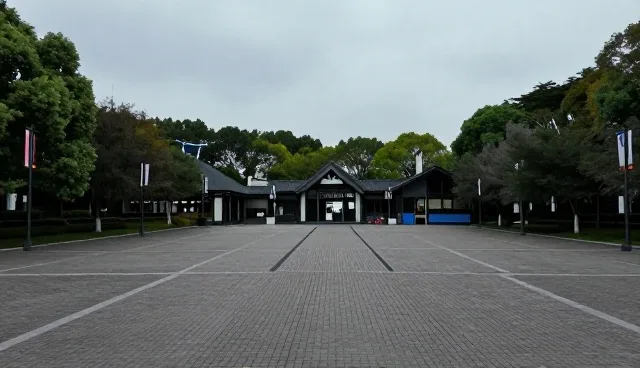 展示板块内容缺失如何处理,信息传播效率如何提升